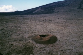 Piton de la Fournaise : 
Formica L&eacute;o